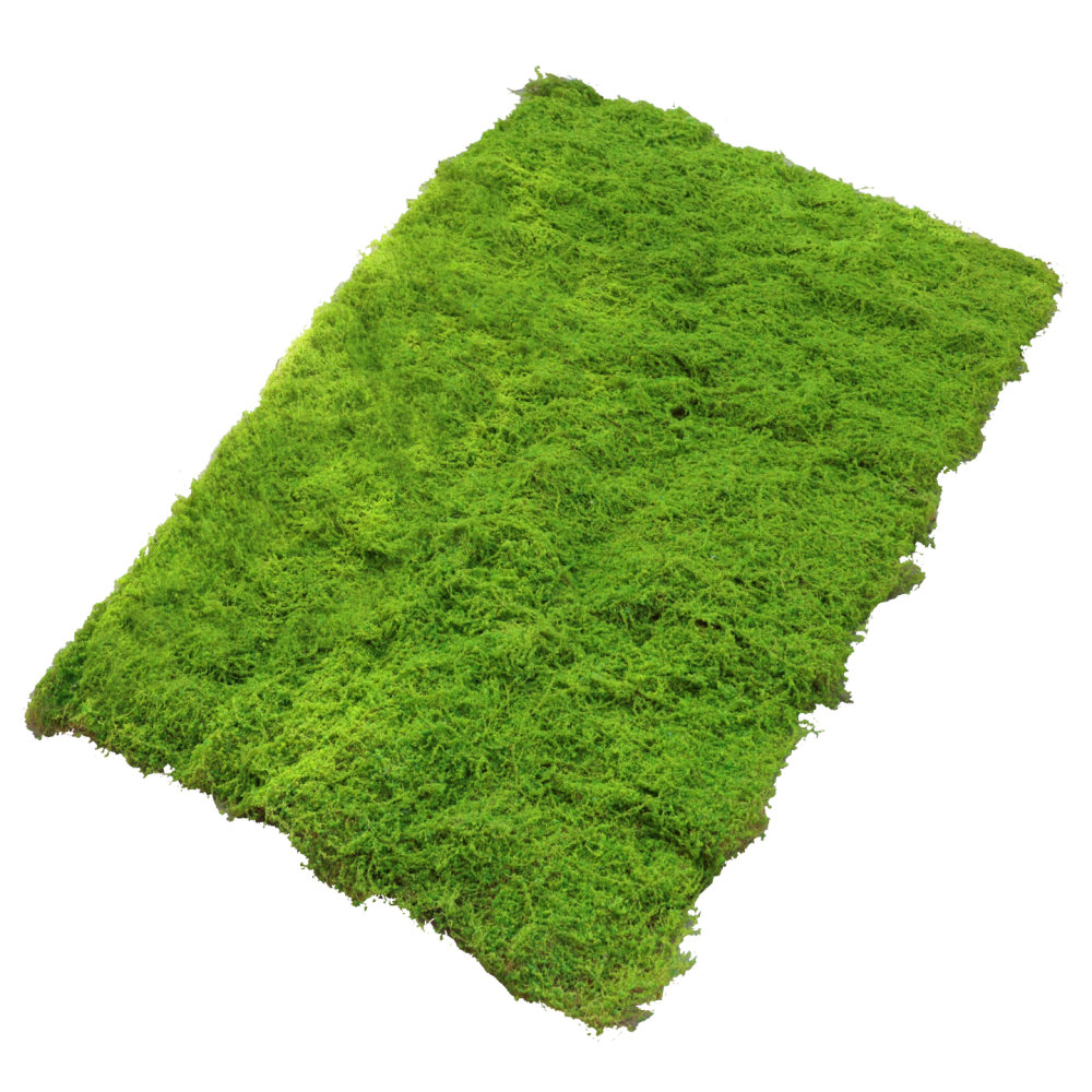 Tappetino in erba sintetica ef - Preserved Moss Sheet recensione e prezzo