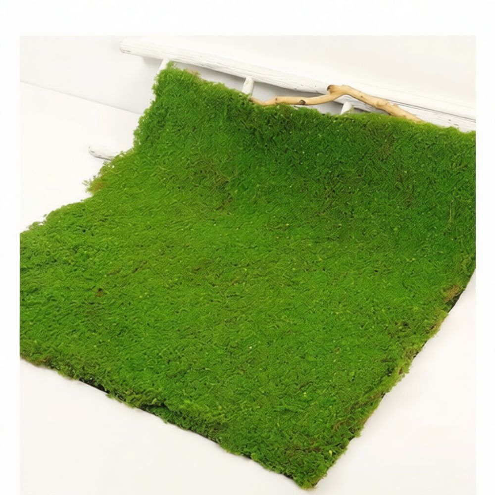 Tappetino in erba sintetica ef - Preserved Moss Sheet recensione e prezzo