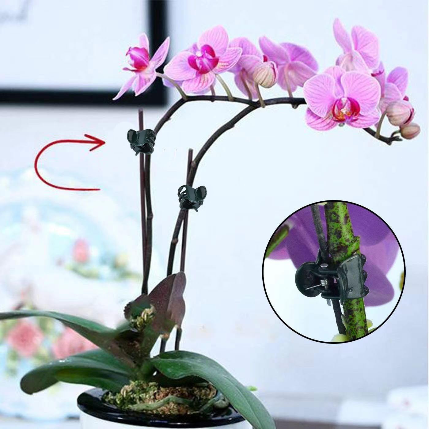 Mini clip per piante, confezio - Florist Supply Bulk recensione e prezzo