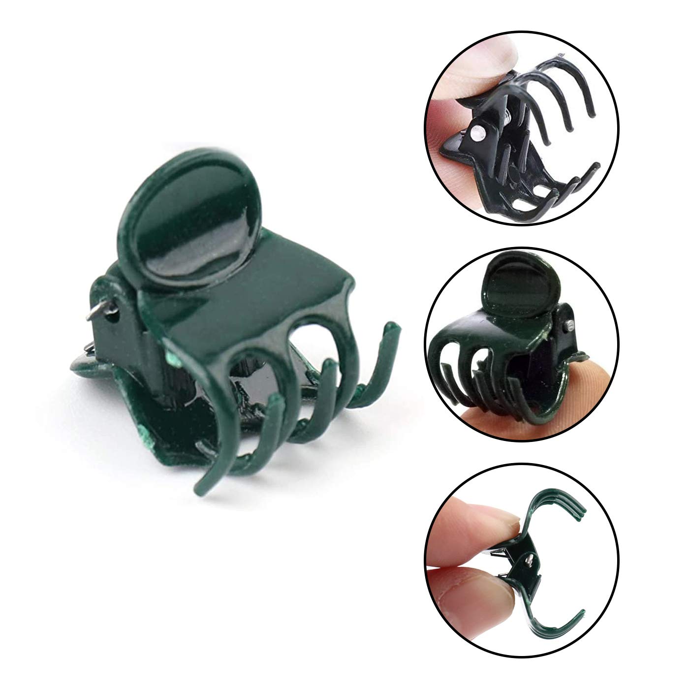 Mini clip per piante, confezio - Florist Supply Bulk recensione e prezzo