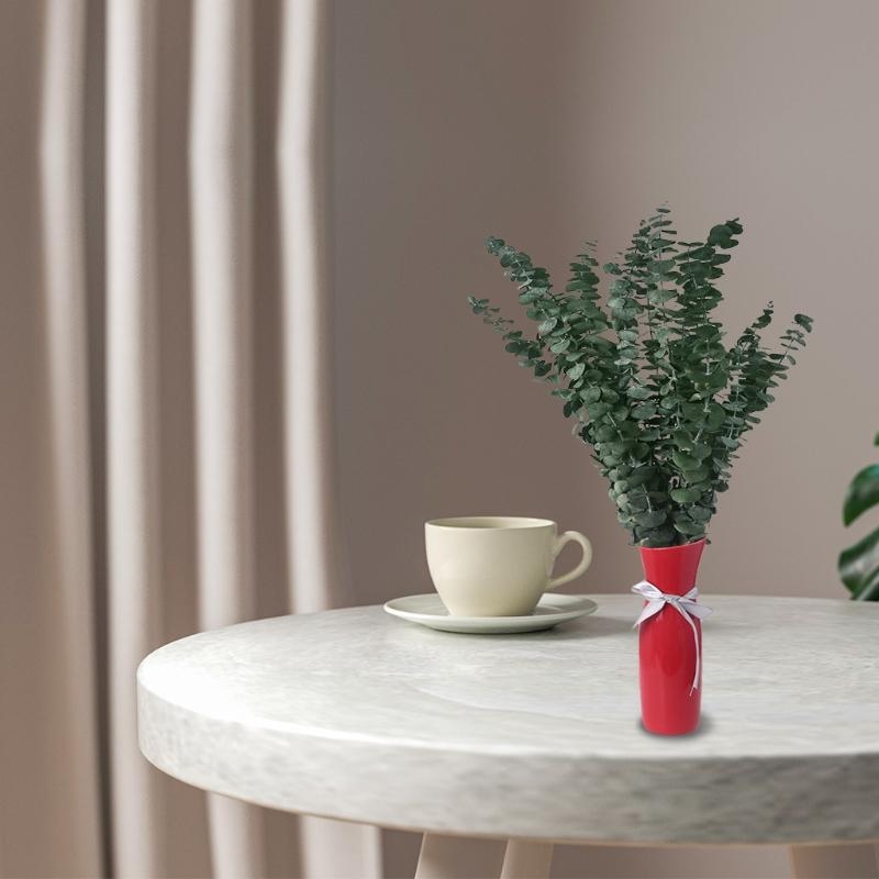20 pezzi conservati per eucali - Eucalyptus Preserved recensione e prezzo