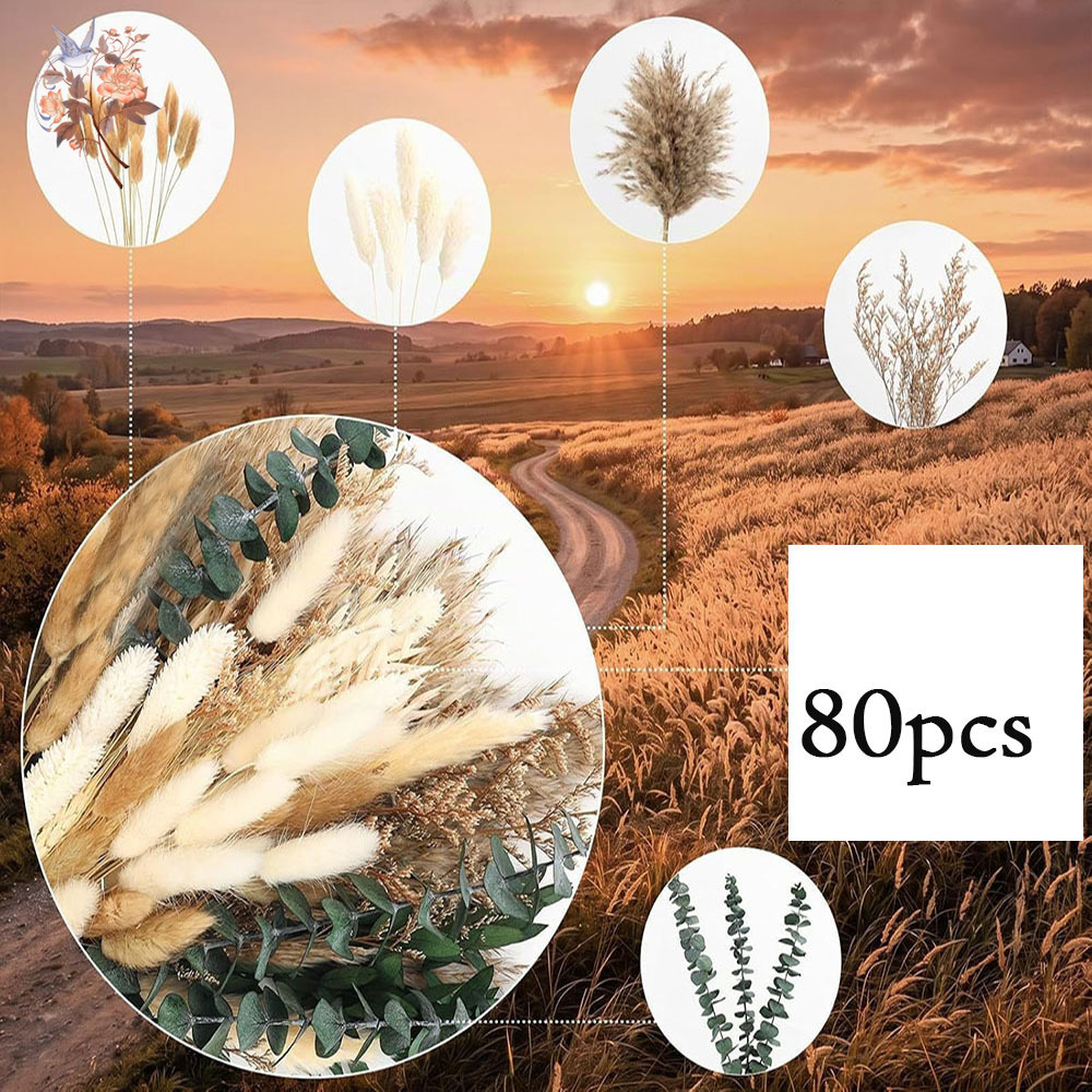 80 pezzi di fiori secchi natur - Eucalyptus Preserved recensione e prezzo