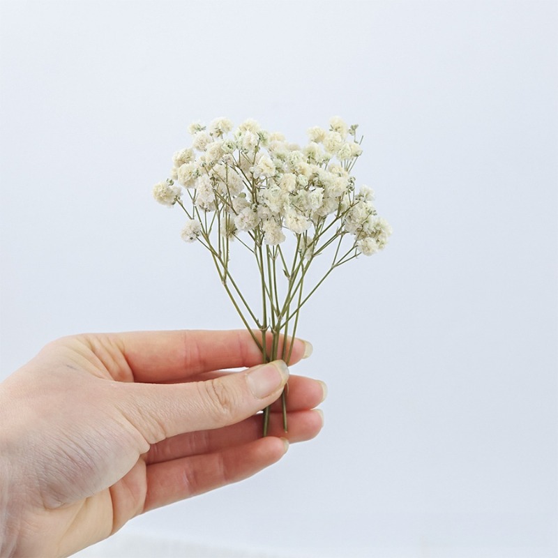 50 pezzi di Fiori di Gypsophil - Florist Supply Vases recensione e prezzo